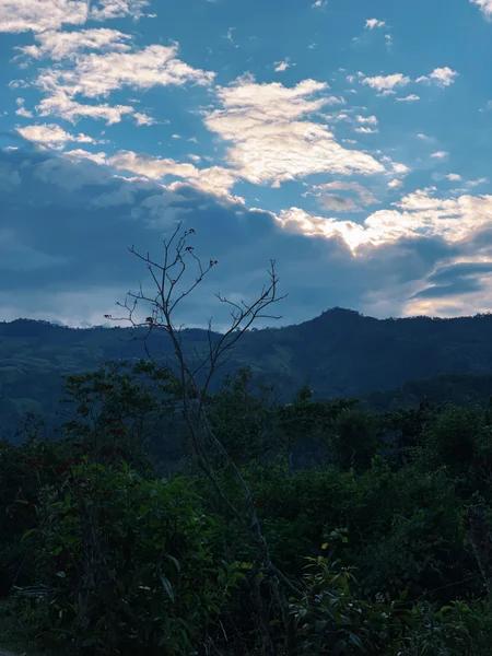 Perú, Café del Futuro, Mundo Novo, Bourbon, Caturra & Catimor, FTO - P11585