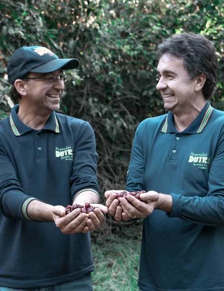 Brazil, Fazenda Dutra, Pulped Natural, Mundo Novo & Catuaí, Organic - P11624