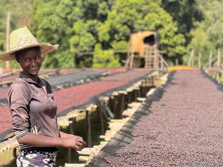 ETH25-H Gara Agena washed premium