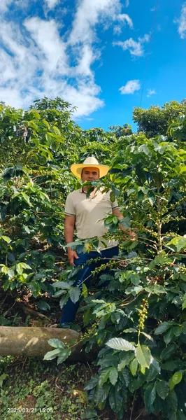 COL25-D Cuatro Vientos Ombligon natural