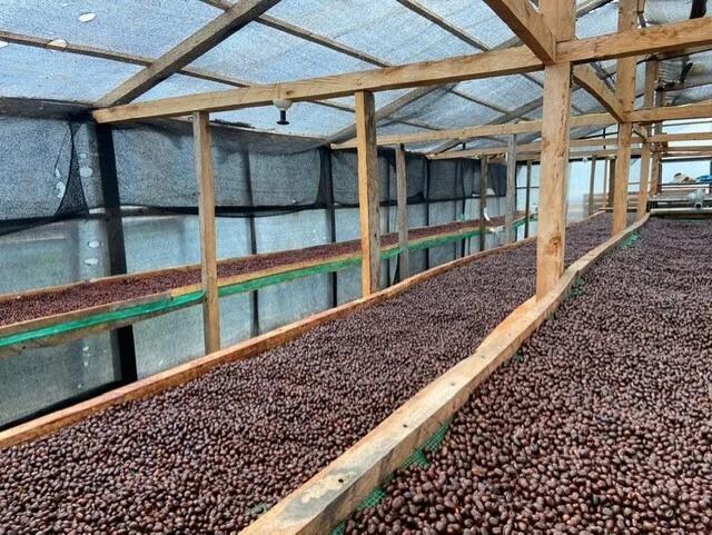 Brito Coffee ORIGIN header
